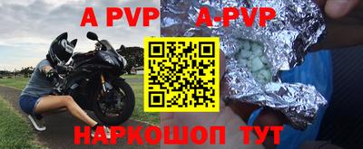эйфоретик Кингисепп