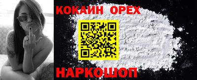 эйфоретик Кингисепп
