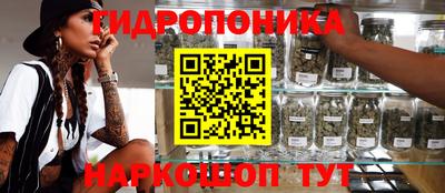 шишки Кинель