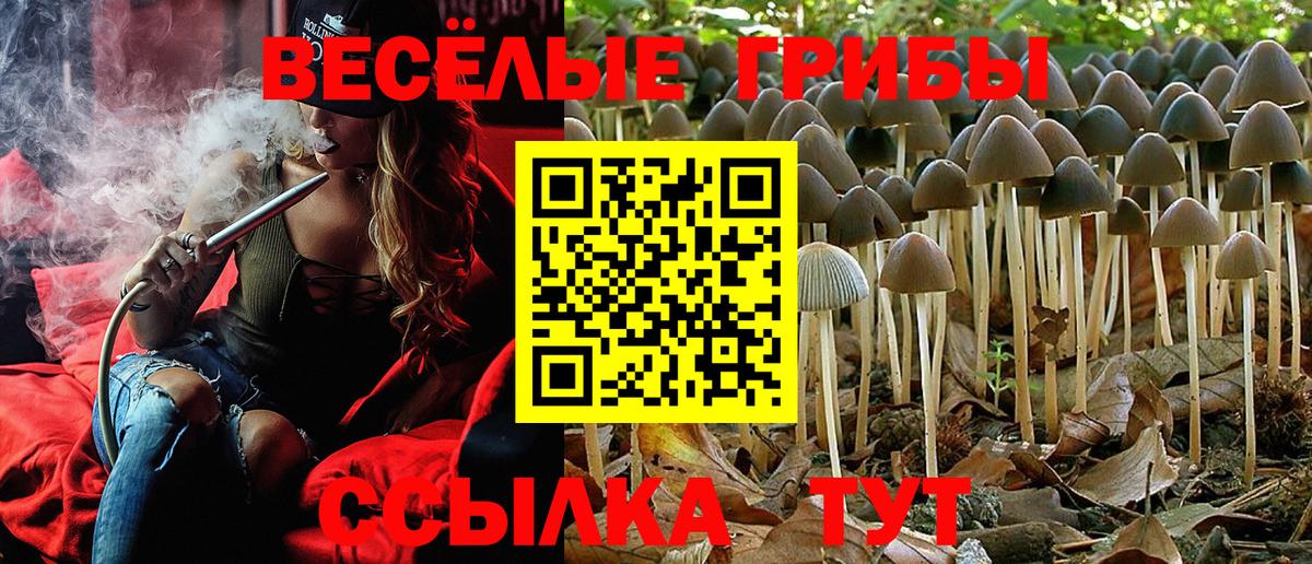 Псилоцибиновые грибы ЛСД  Вход с VPN  Мегион 